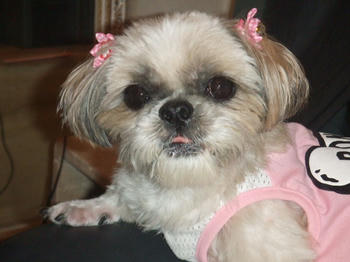 2008_0910kumie5a30033.JPG