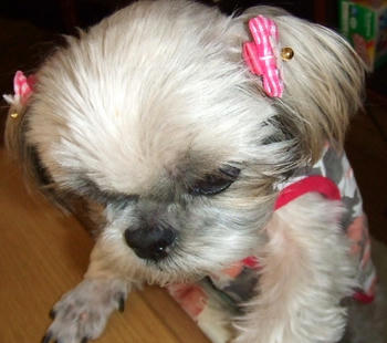 2007_1021kumie5a30003.JPGzzzzzz.jpg