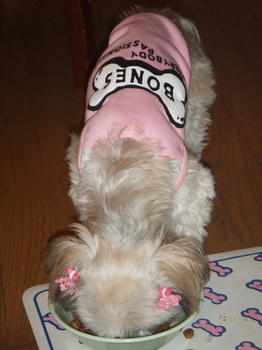 2008_0918kumie5a30007.JPG