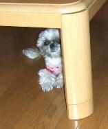 2008_0822kumie5a30037.JPGzzzzzz.jpg