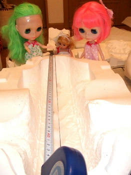 2008_1105kumie5a30015.JPG