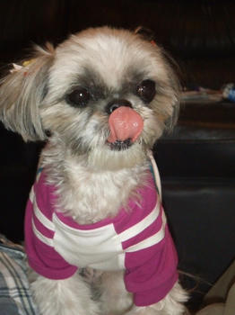 2008_1114kumie5a30065.JPG