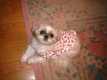 2004_1021_165227AA.JPG