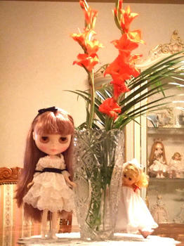 2008_1126kumie5a30015.JPG