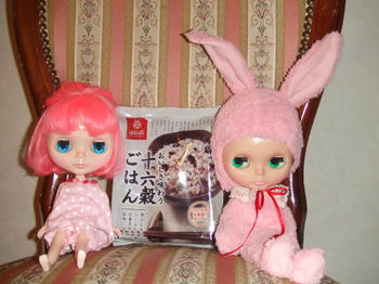 2008_1127kumie5a30022.JPG