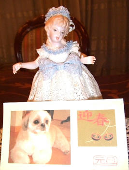 2008_1208kumie5a300vvv26.jpg