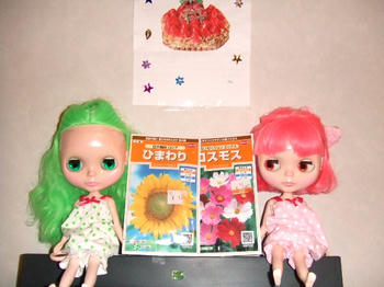 2008_1215kumie5a30036.JPG