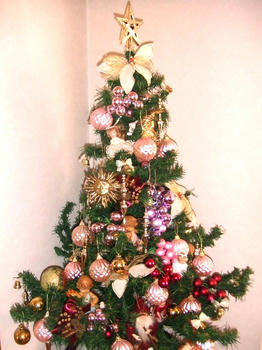 2008_1218kumie5a30042.JPG