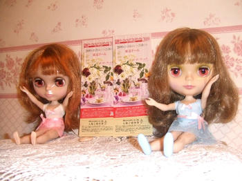 2008_1225kumie5a30062.JPG