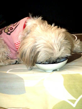 2009_0207kumie5a30013.JPG