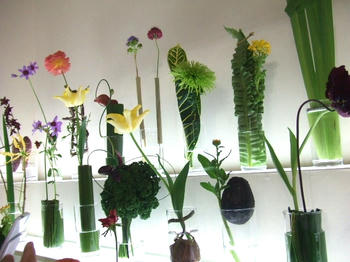 2009_0208kumie5a30080.JPG