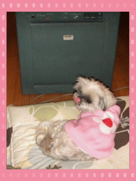 photo2.gif