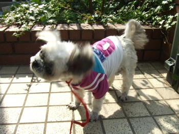 2009_0313kumie5a30002.JPG