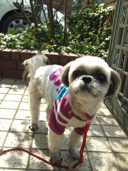 2009_0313kumie5a30009.JPG