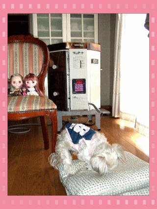 photo6.gif