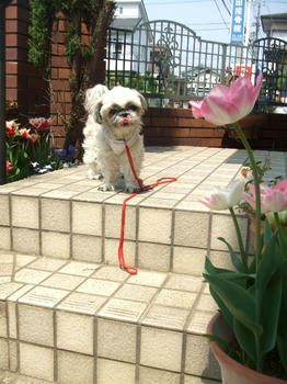 2009_0416kumie5a30060.JPG