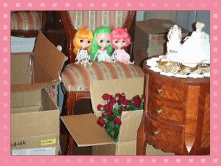 photo9.gif