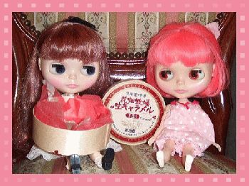 photo8.gif
