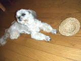 2009_0712kumie5a300402.jpg