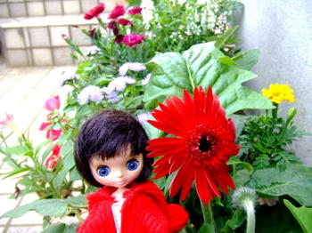 2009_0805kumie5a300062.jpg