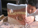 d1494235.jpg