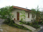 de98014c.jpg