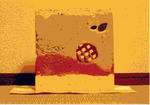 252e5764.jpg