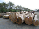 229134d0.jpg