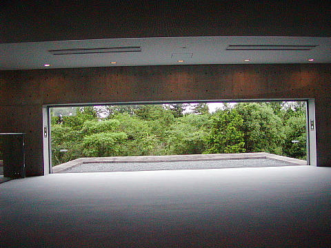 b01879fd.JPG