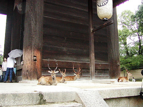 おとこ衆