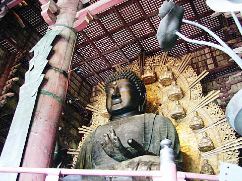 大仏様