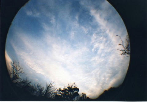 魚眼の空
