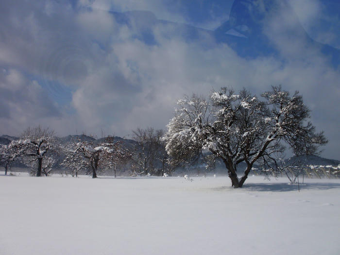conv0029.JPG