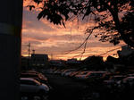 P8090001.JPG