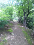 DVC00003.JPG