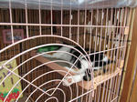 IMG_0003-1.JPG
