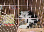 IMG_0006.JPG