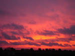 DSC04047.JPG