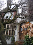 DSC04201.JPG