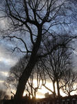 DSC04255.JPG