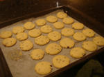 DSC04333.JPG