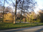 DSC04345.JPG