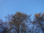DSC04347.JPG