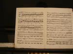 DSC04350.JPG