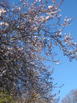 DSC04413.JPG