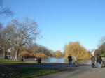 DSC04415.JPG