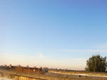 DSC04443.JPG