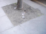 DSC04445.JPG