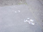 DSC04449.JPG
