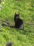 DSC04470.JPG